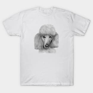 Poodle - standard T-Shirt